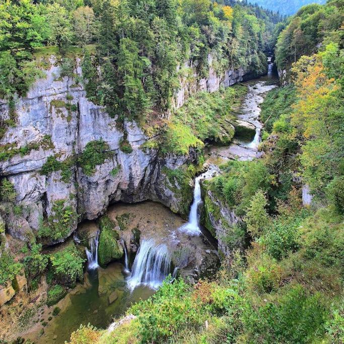 Maison Renovee Au Coeur Du Haut-Jura Entre-Deux-Monts エクステリア 写真