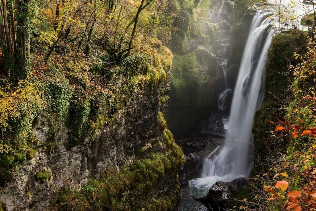 Maison Renovee Au Coeur Du Haut-Jura Entre-Deux-Monts エクステリア 写真